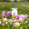 BIO-PROTEC COLOR SPF 50+ NATURAL 50ml - Imagen 3