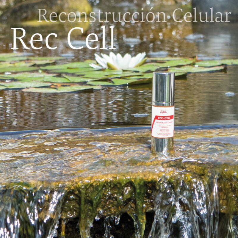 REC CELL 30ml - Imagen 4