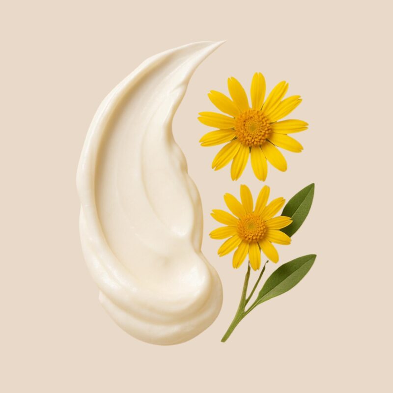 CREMA NATURAL DE ÁRNICA 100ml - Imagen 2
