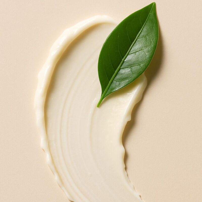 RENOV CREAM 21 (TODO TIPO PIEL) 50ml - Imagen 2